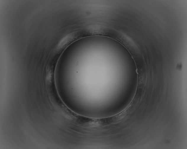 X0000091720124200708241358