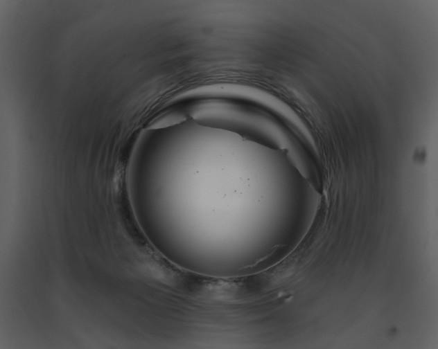 X0000091720125200708241358