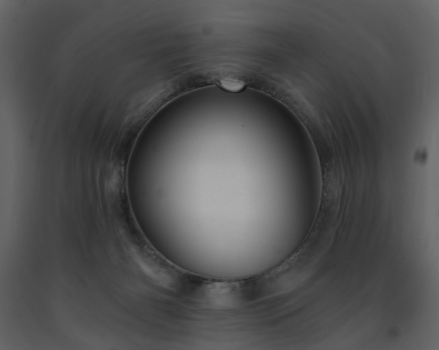 X0000091720126200708241358