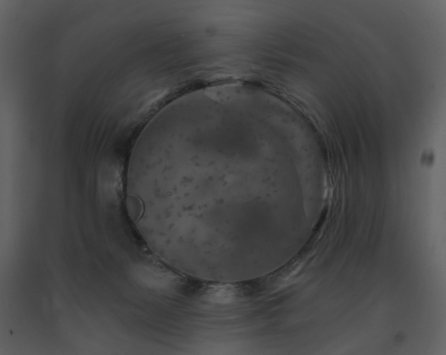 X0000091720127200708241358