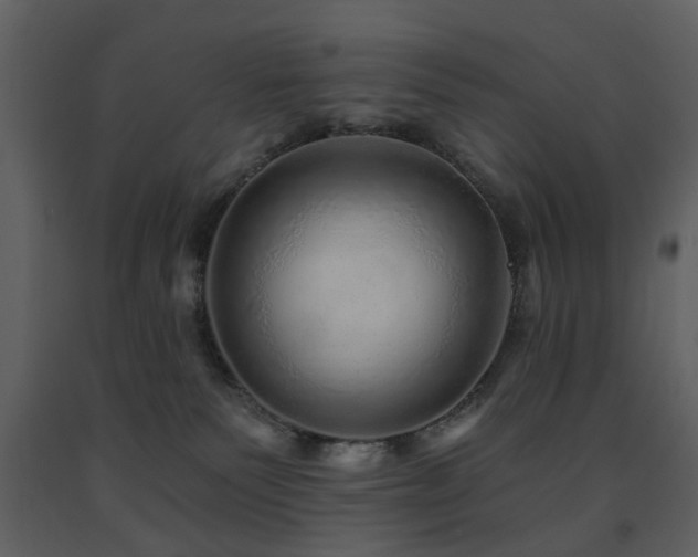 X0000091720135200708241358