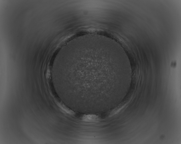 X0000091720137200708241358