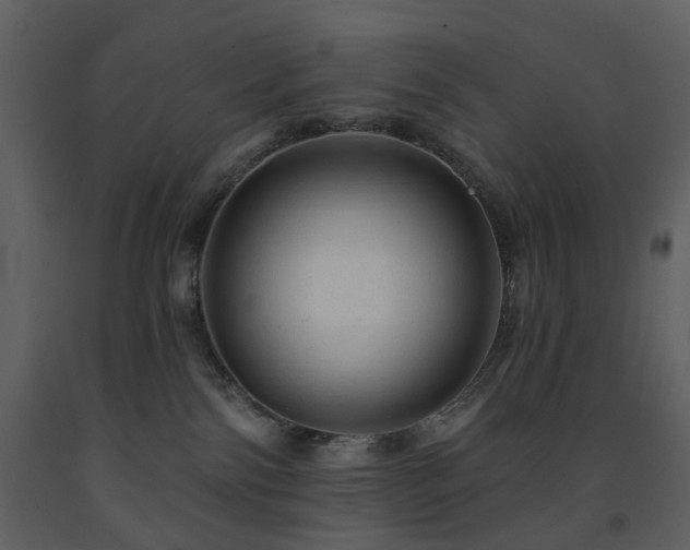 X0000091720138200708241358