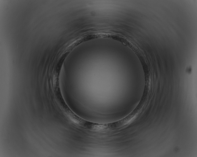 X0000091720139200708241358