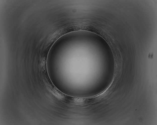 X0000091720144200708241358