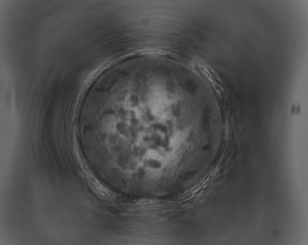 X0000091720145200708241357