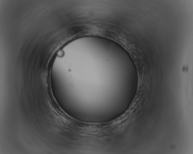 X0000091720146200708241357