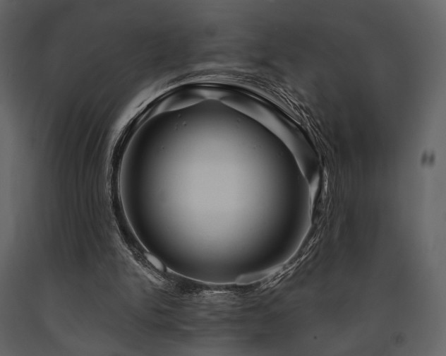 X0000091720150200708241357