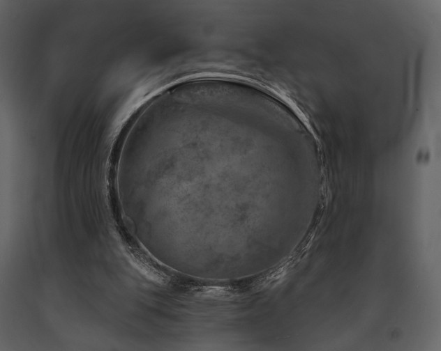 X0000091720151200708241357