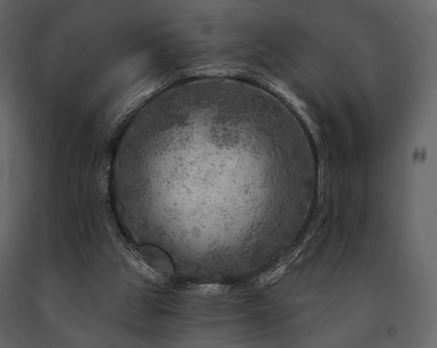 X0000091720153200708241357