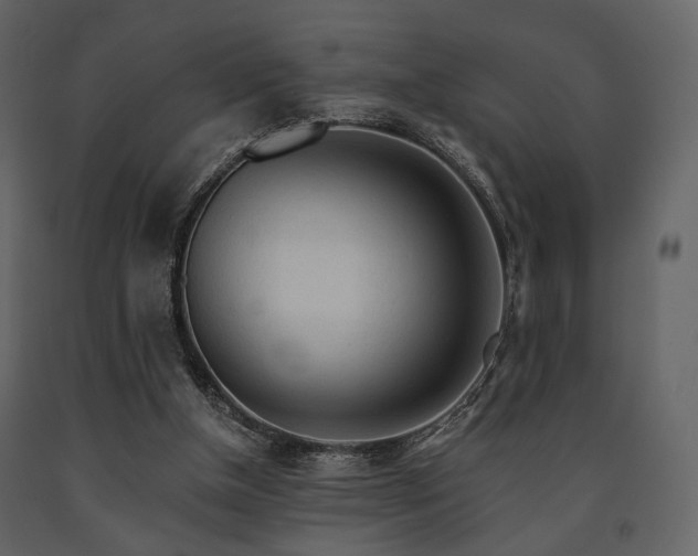 X0000091720154200708241357