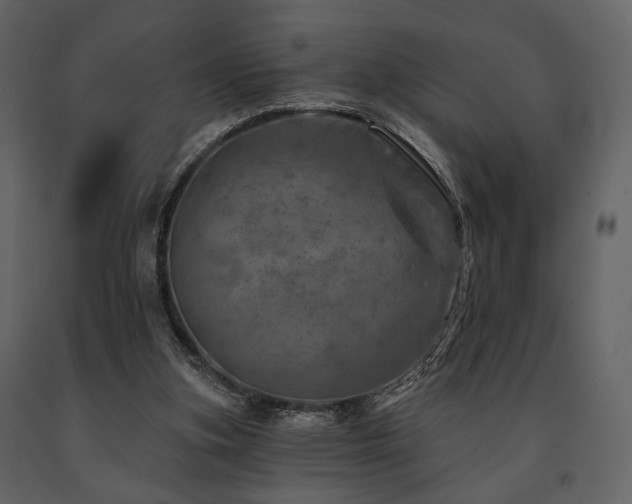 X0000091720155200708241357