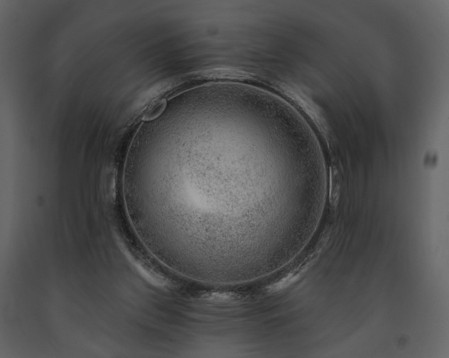 X0000091720157200708241357
