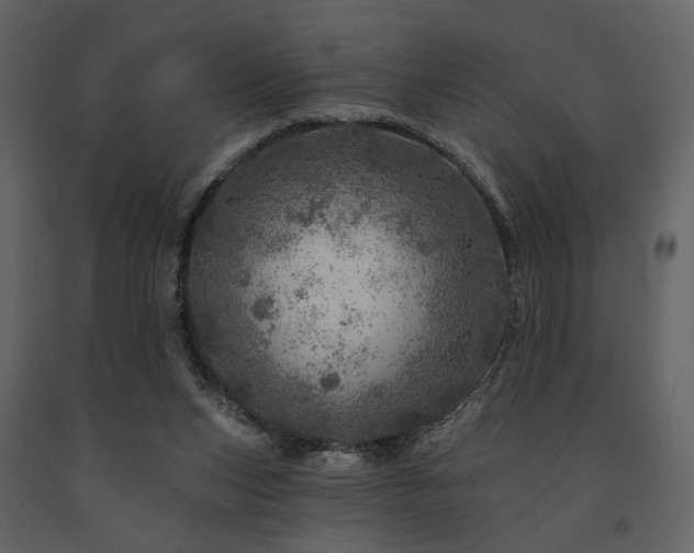 X0000091720159200708241357