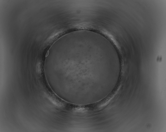 X0000091720161200708241357