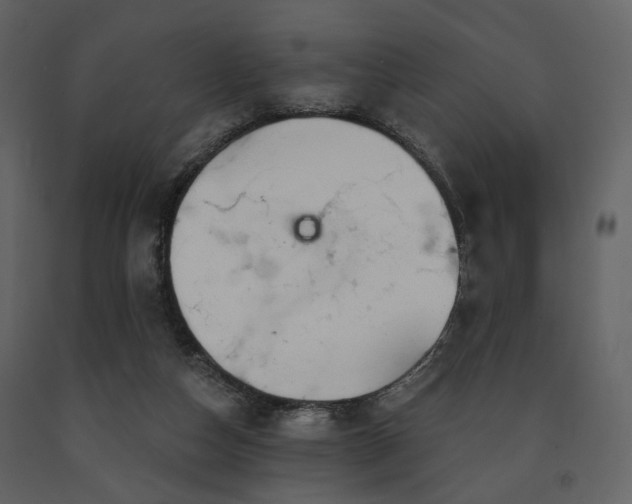X0000091720162200708241357