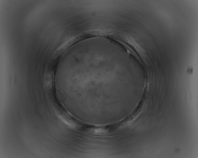 X0000091720165200708241357