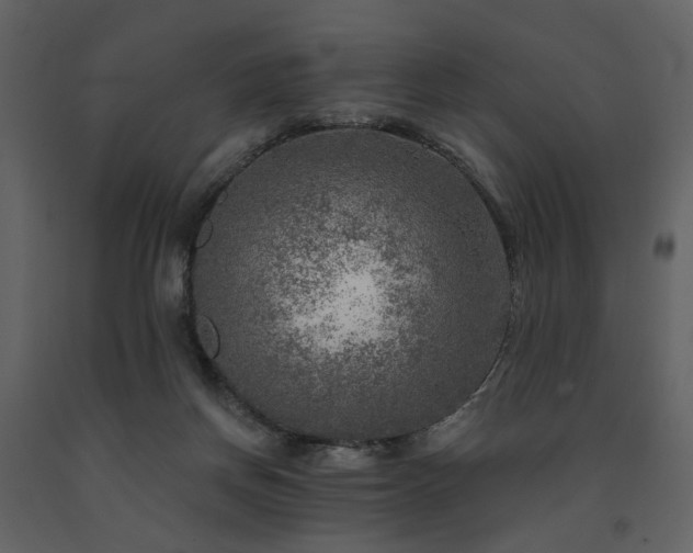 X0000091720166200708241357