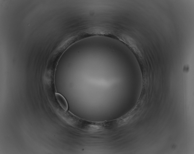 X0000091720167200708241357