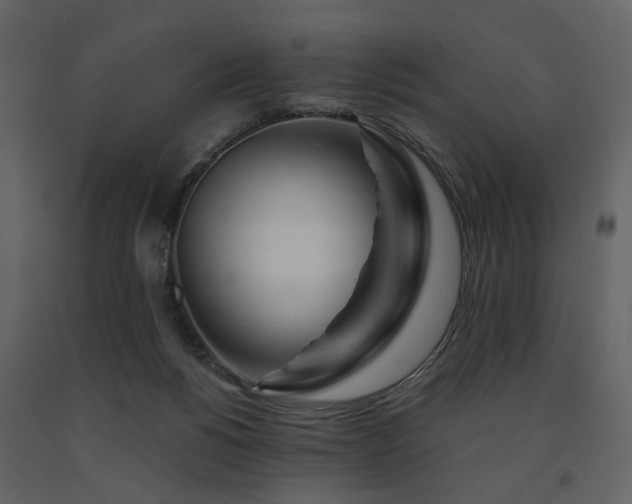 X0000091720168200708241357