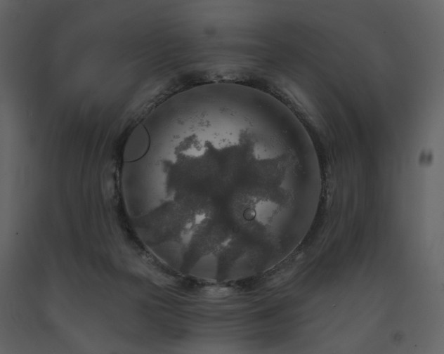 X0000091720169200708241357