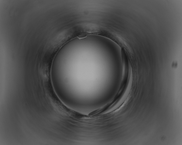 X0000091720170200708241357
