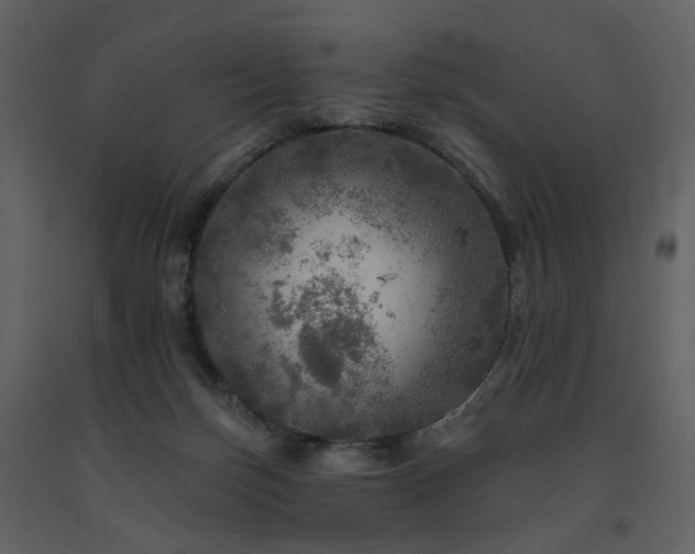 X0000091720171200708241358