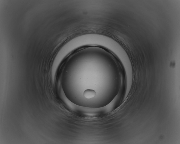 X0000091720172200708241358
