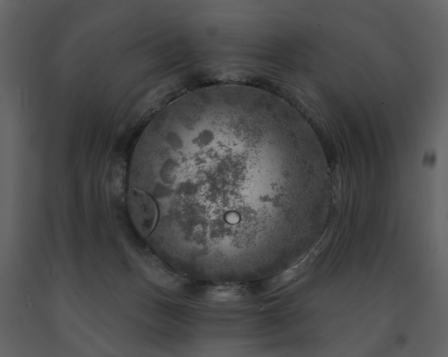 X0000091720175200708241358