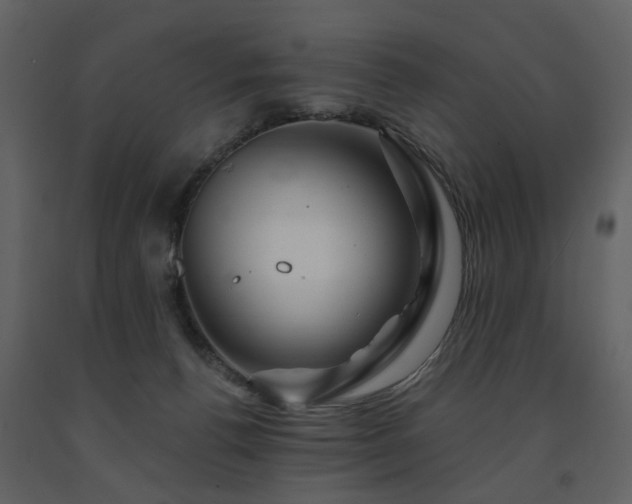 X0000091720176200708241358