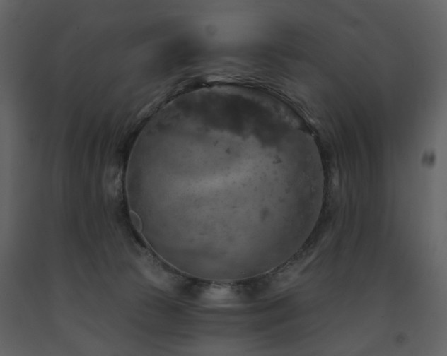 X0000091720177200708241358