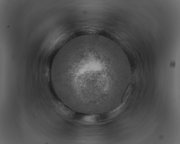 X0000091720178200708241358