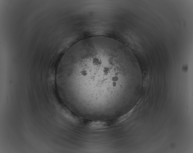 X0000091720179200708241358