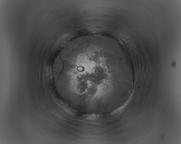 X0000091720182200708241358