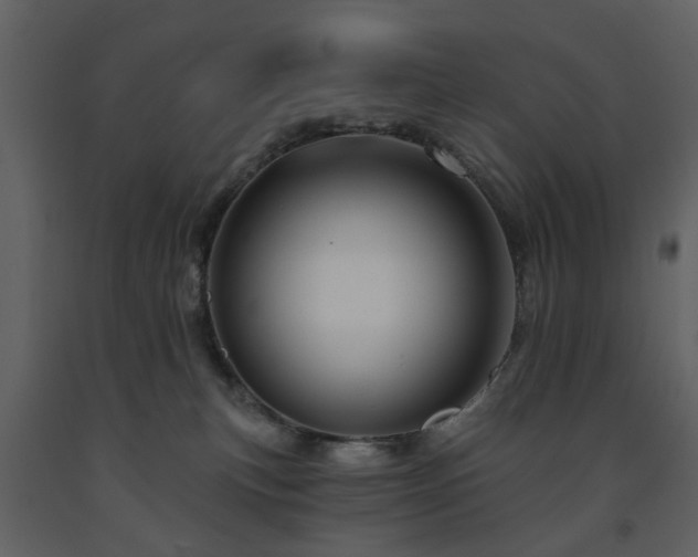 X0000091720183200708241358