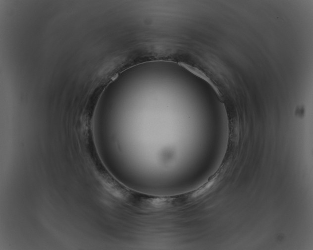 X0000091720184200708241358
