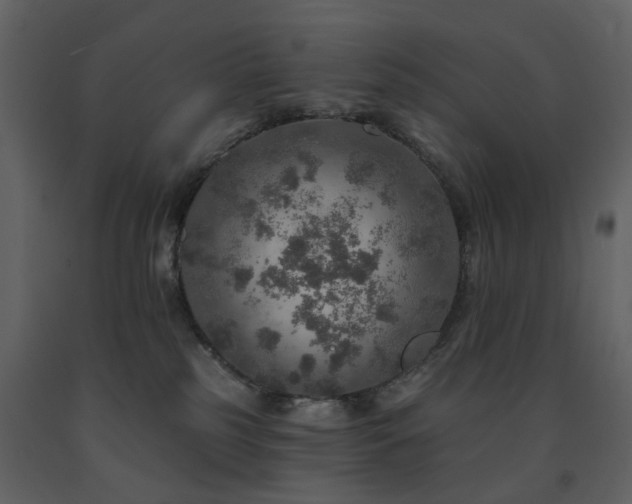 X0000091720185200708241358
