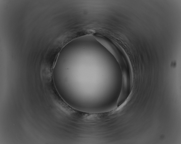 X0000091720186200708241358