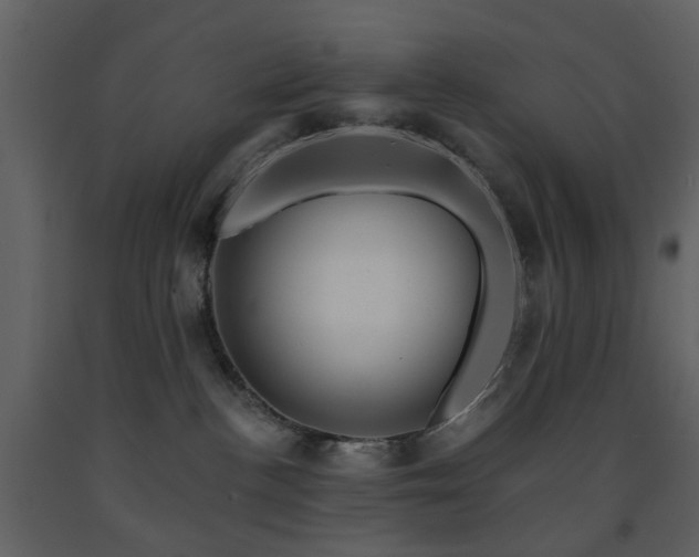 X0000091720188200708241358