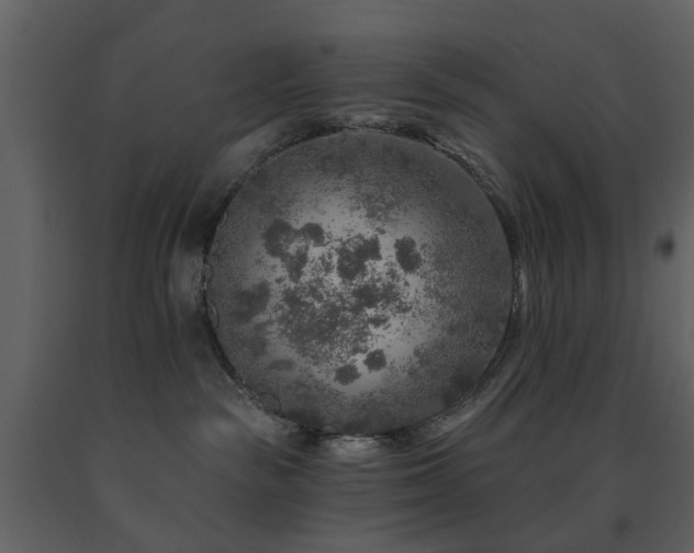 X0000091720189200708241358