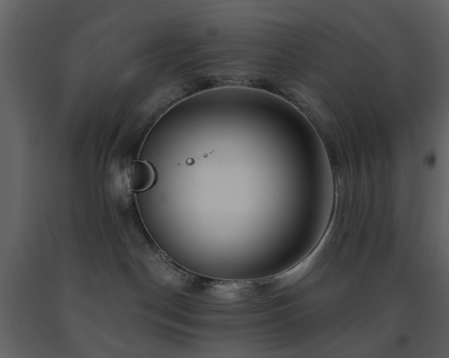 X0000091720190200708241358