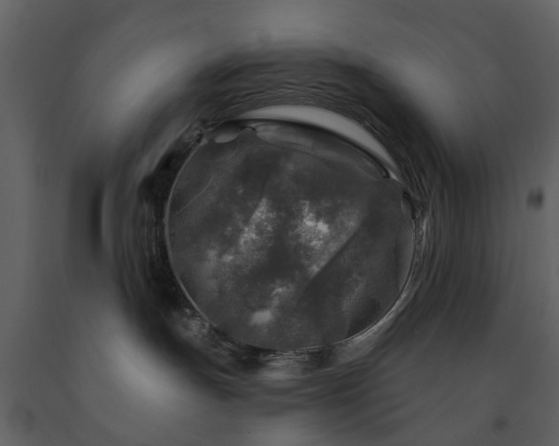 X0000091720191200708241358