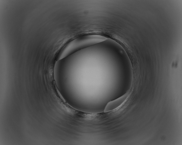 X0000091720192200708241358
