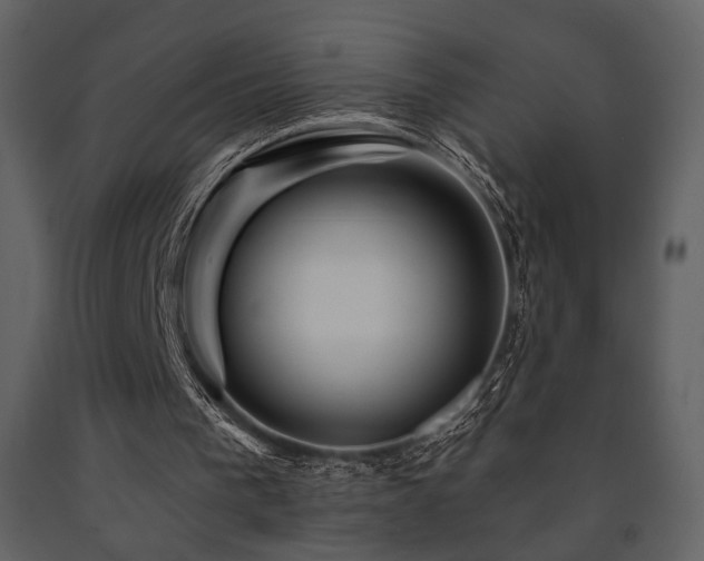 X0000091720193200708241357