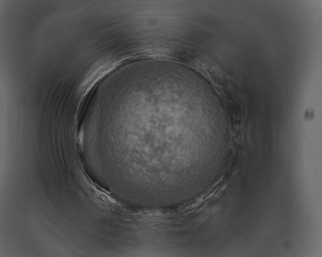 X0000091720194200708241357