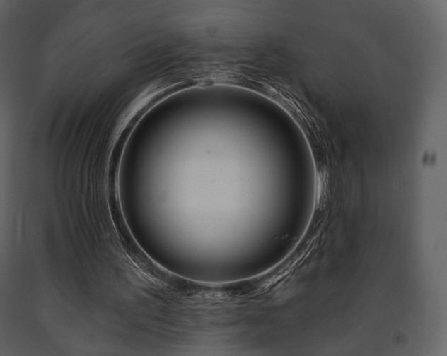 X0000091720195200708241357