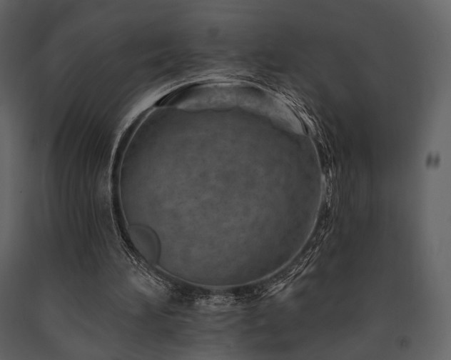 X0000091720196200708241357