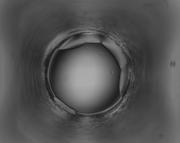 X0000091720197200708241357