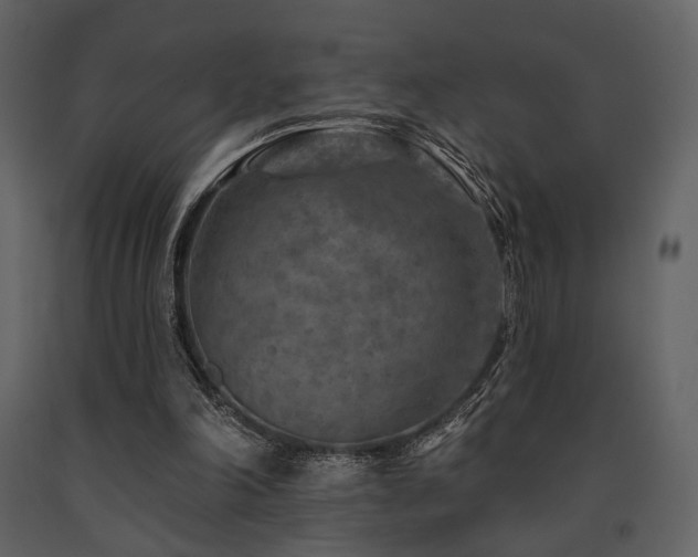 X0000091720198200708241357