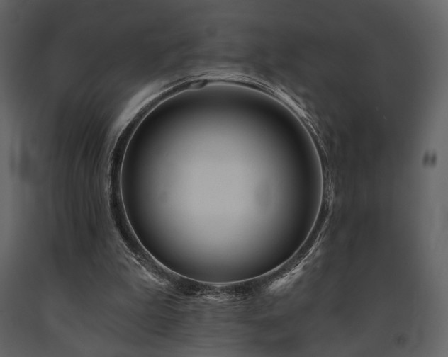 X0000091720199200708241357